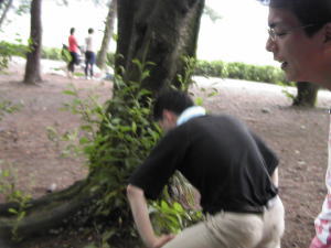 bq004.jpg